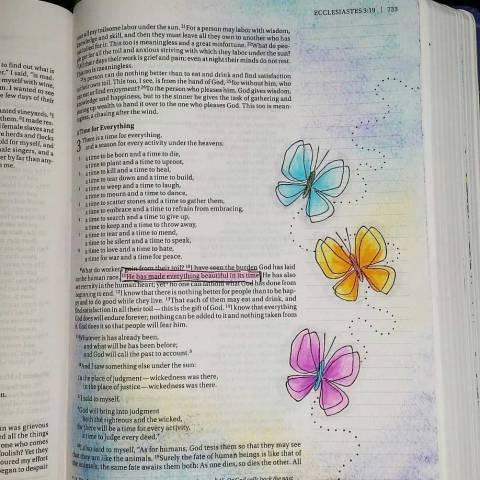 StampsByJudith.com: Butterfly Bible Page