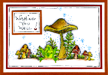 Frog Mushroom Card